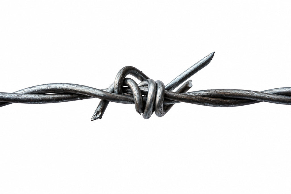 Two-Strand Galvanized Barbed Wire