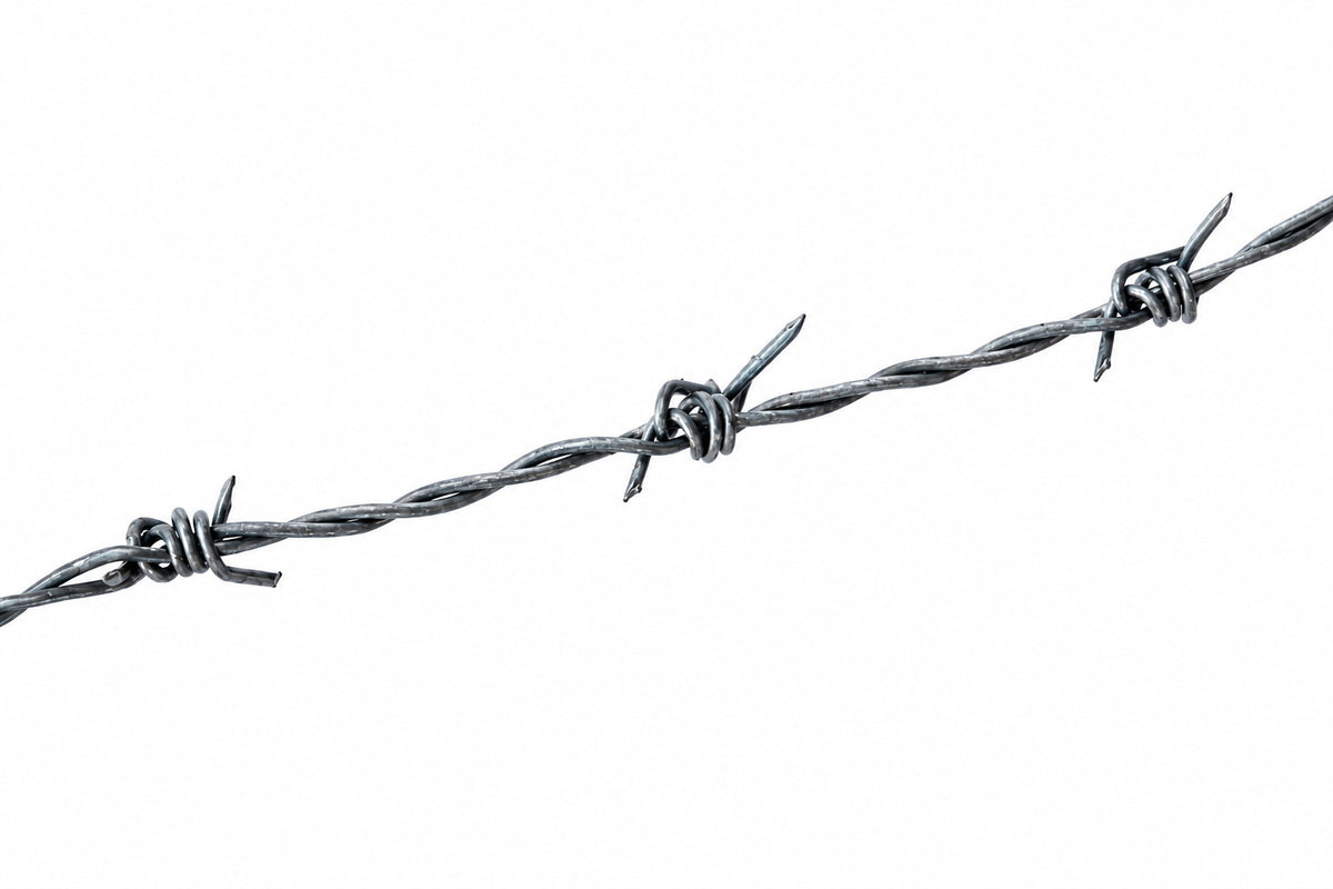 Two-Strand Galvanized Barbed Wire