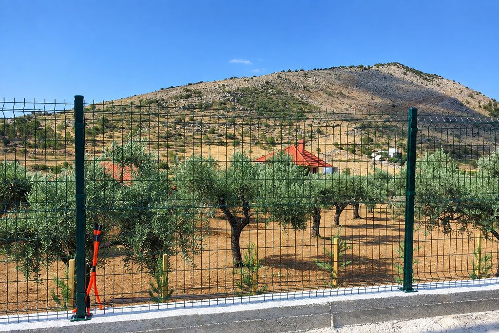 Painted Welded Wire Mesh Panel