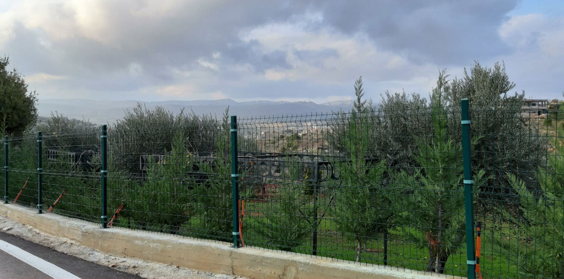 Painted Welded Wire Mesh Panel