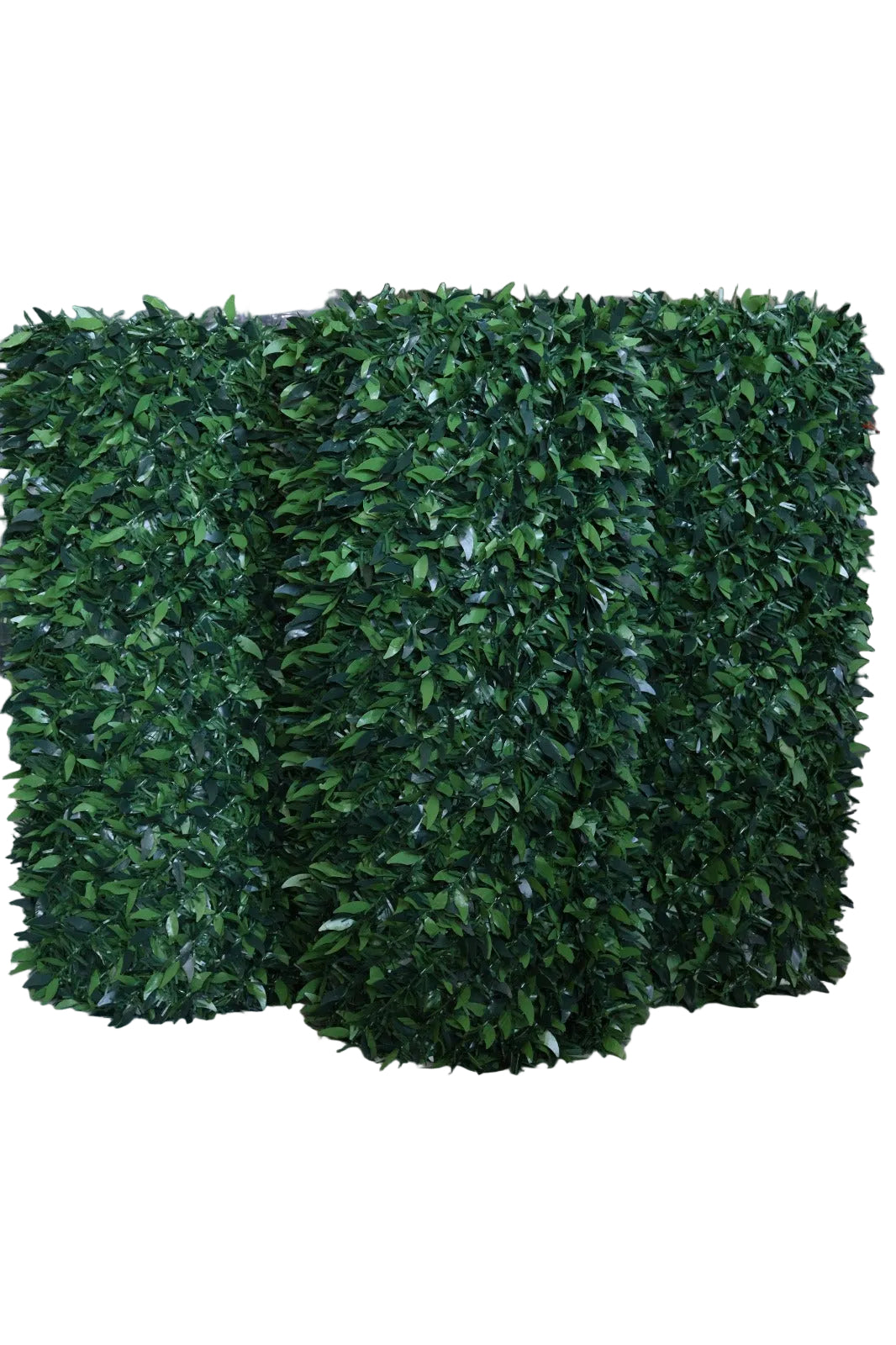 Hot Dip Galvanized Leaf Fence
